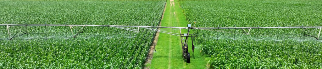 Modernise Agriculture For A More Prosperous India