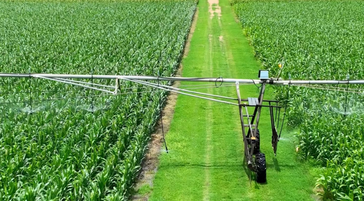 Modernise Agriculture For A More Prosperous India